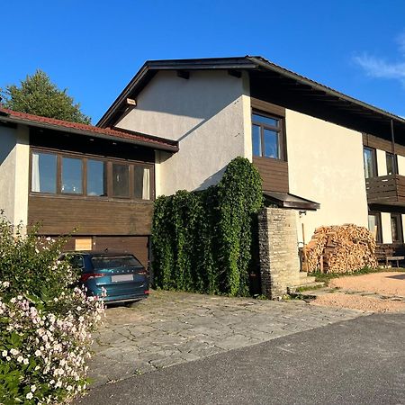 Haus Im Gruenen Lejlighed Saalfelden Eksteriør billede